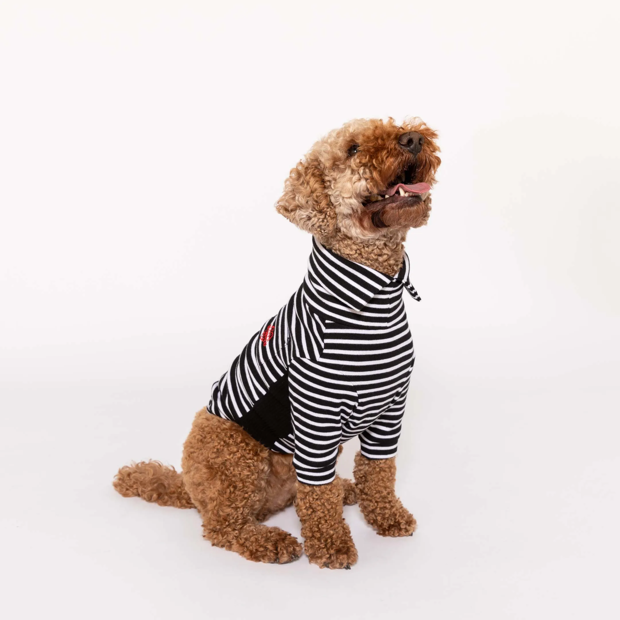Black & White Stripe
