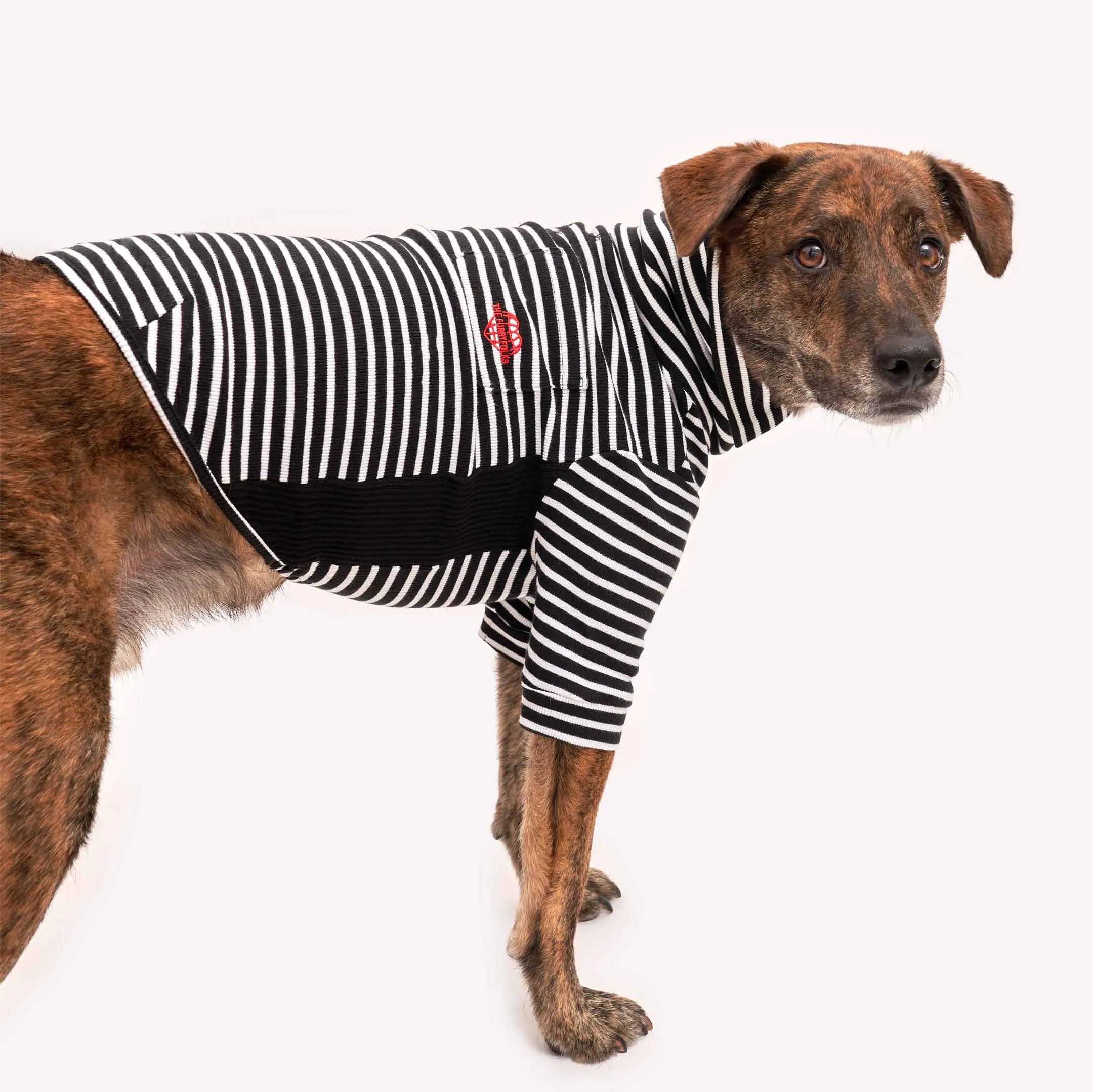 Black & White Stripe