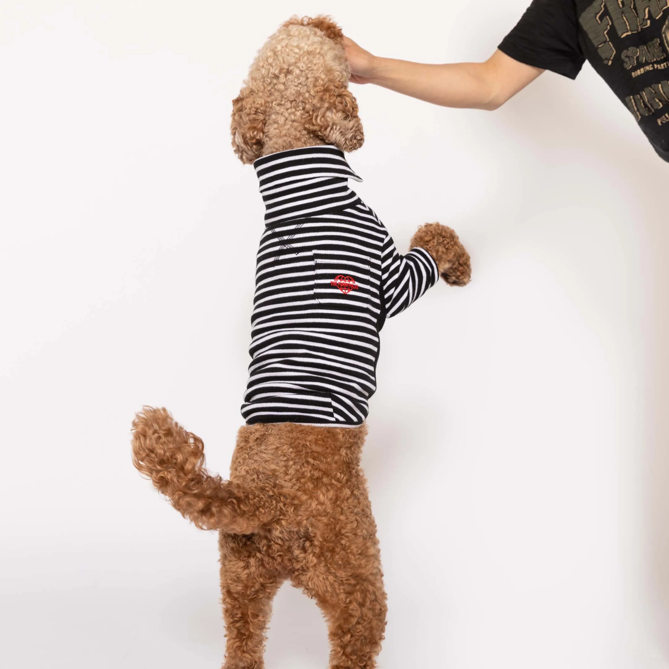 Black & White Stripe