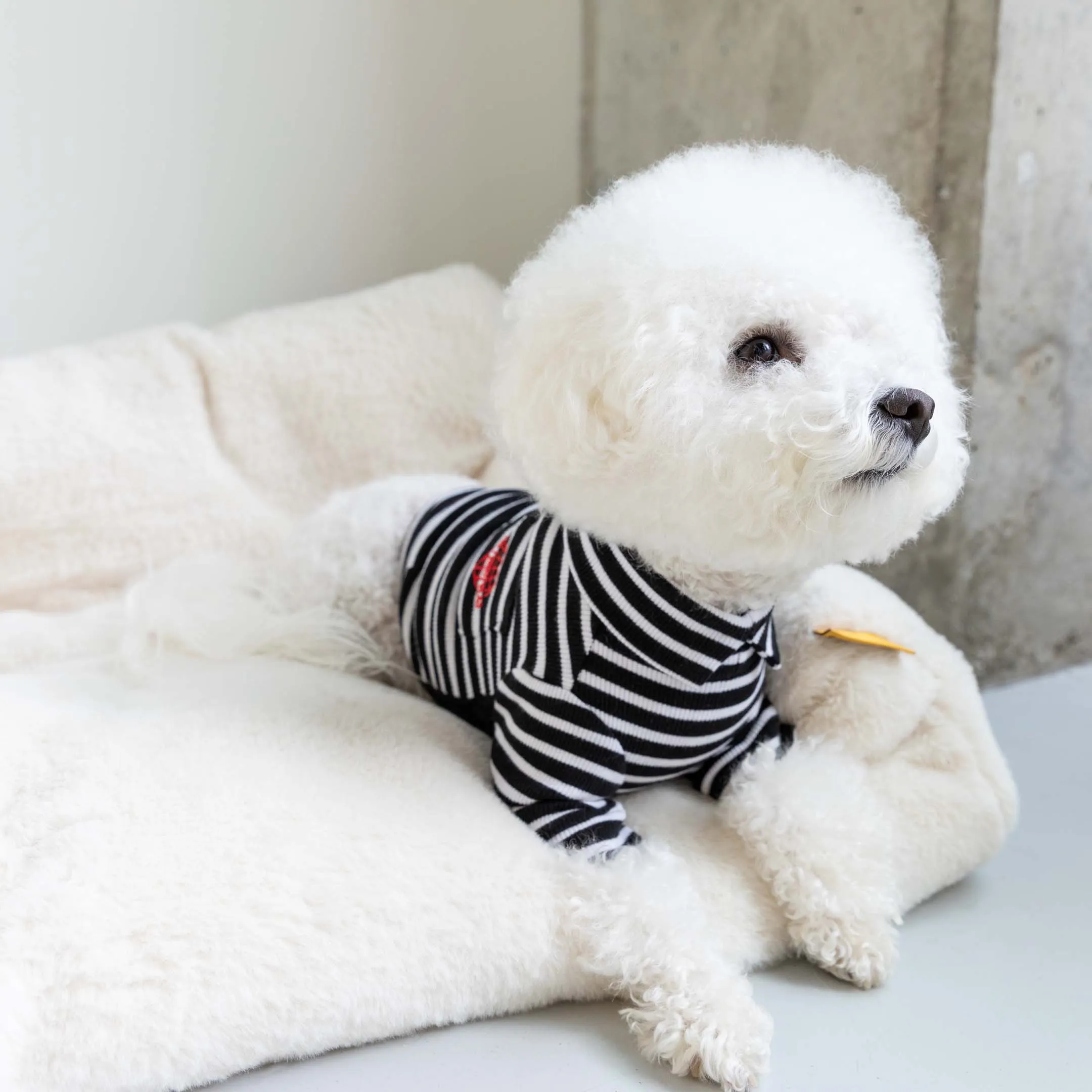 Black & White Stripe