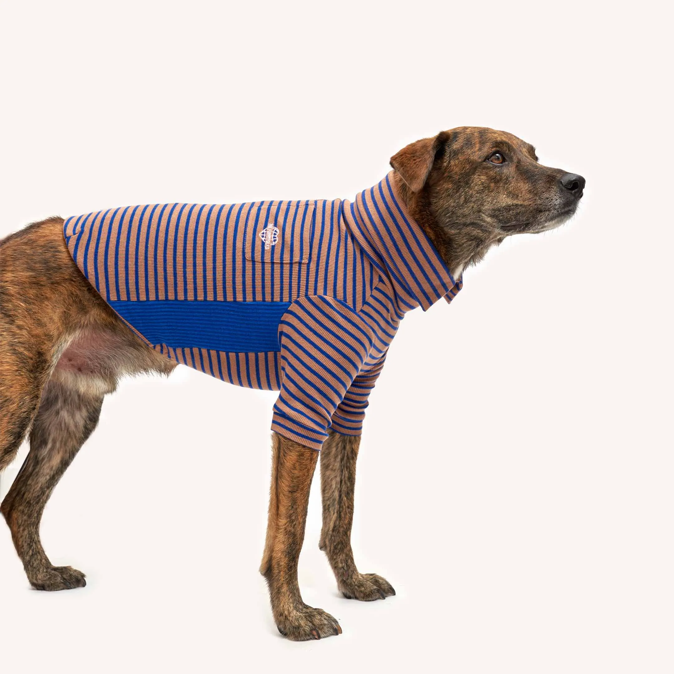 Cobalt & Brown Stripe