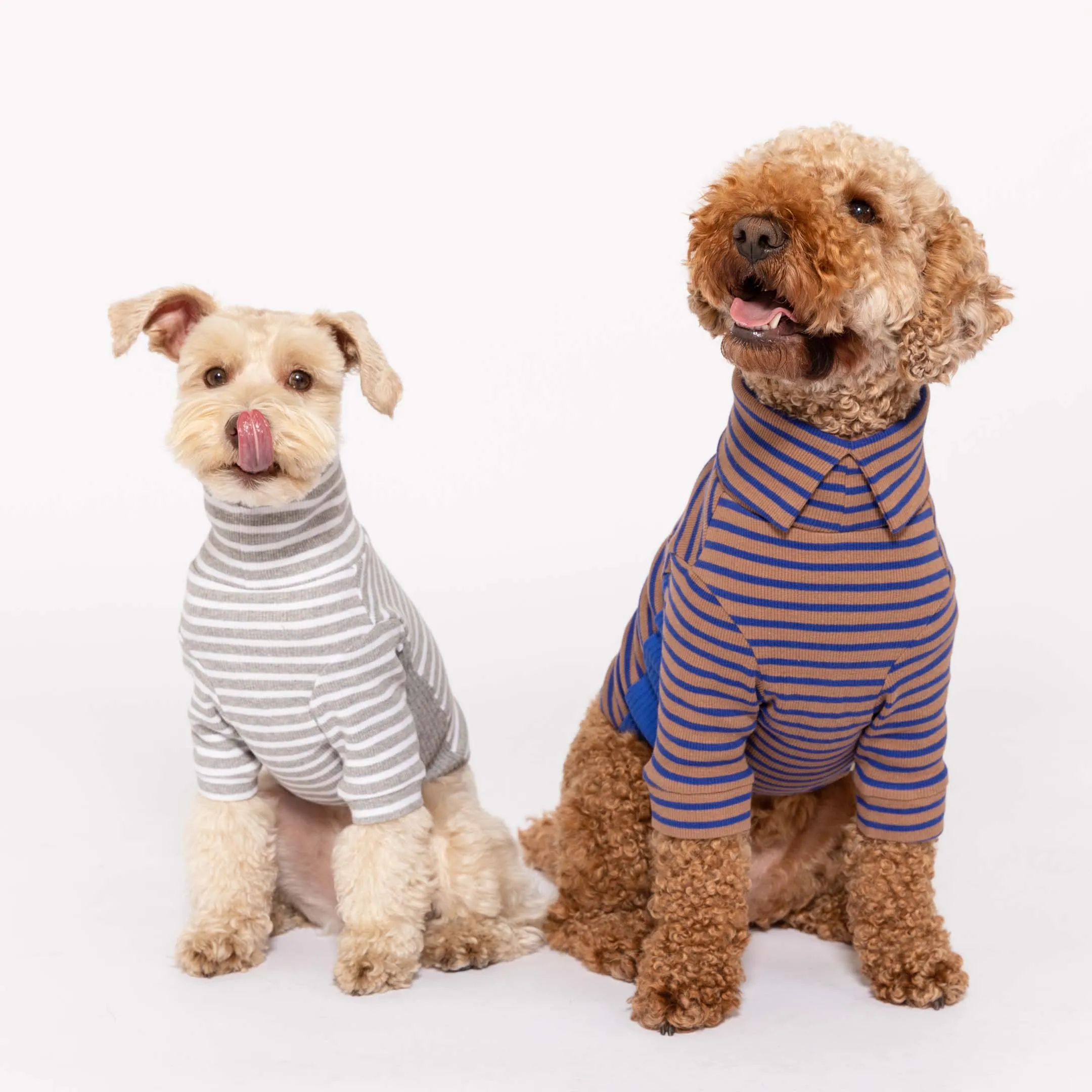 Cobalt & Brown Stripe