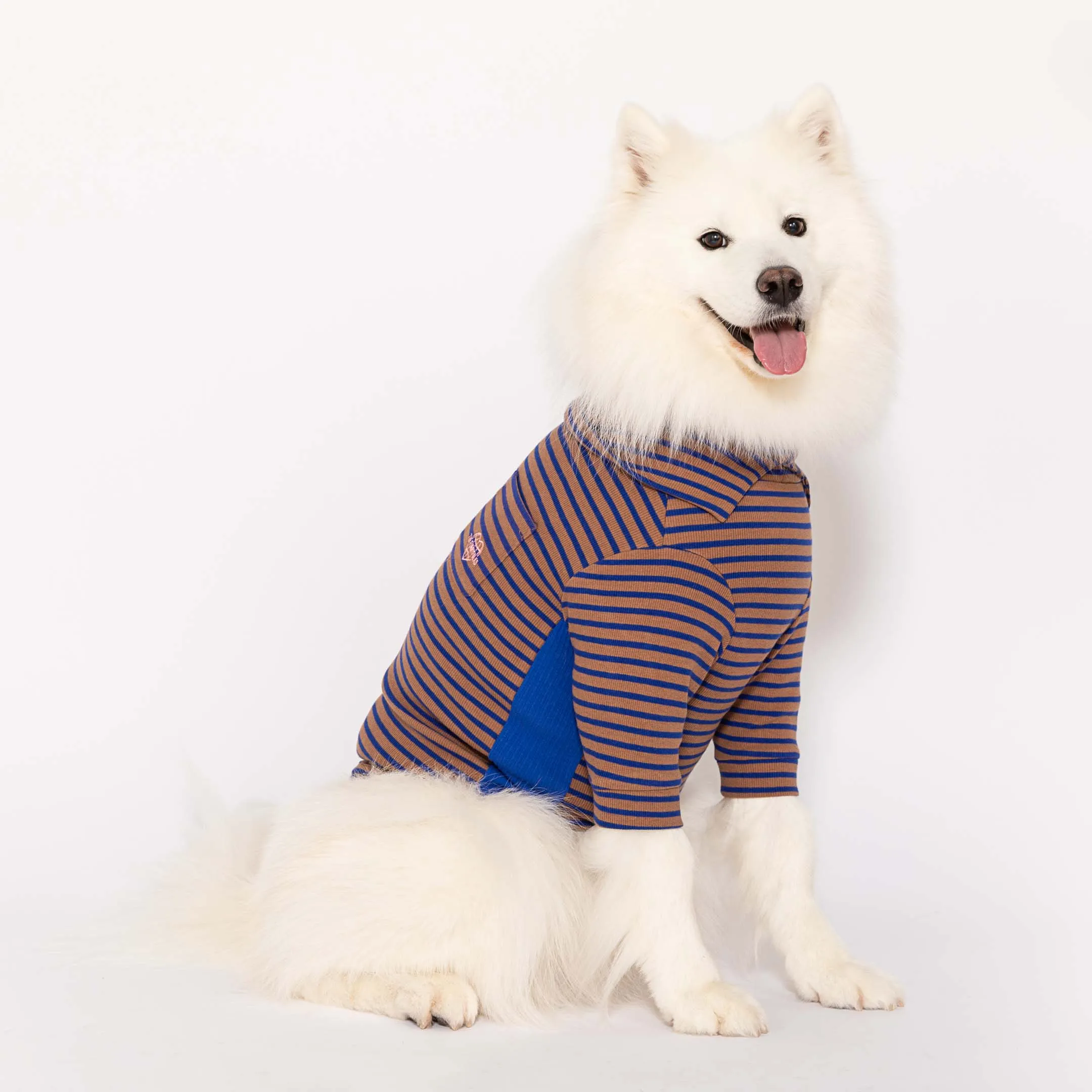 Cobalt & Brown Stripe