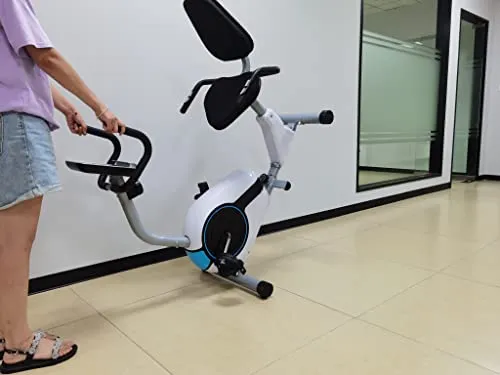 Dolphy Horizontal magnetic control Recumbent exercise bike with 8 Levels Resistance | LCD Monitor, Indoor Cardio Training Workout for Home fitness