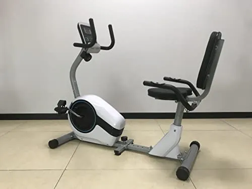 Dolphy Horizontal magnetic control Recumbent exercise bike with 8 Levels Resistance | LCD Monitor, Indoor Cardio Training Workout for Home fitness