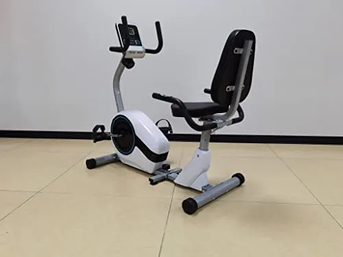 Dolphy Horizontal magnetic control Recumbent exercise bike with 8 Levels Resistance | LCD Monitor, Indoor Cardio Training Workout for Home fitness