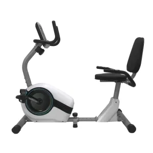 Dolphy Horizontal magnetic control Recumbent exercise bike with 8 Levels Resistance | LCD Monitor, Indoor Cardio Training Workout for Home fitness