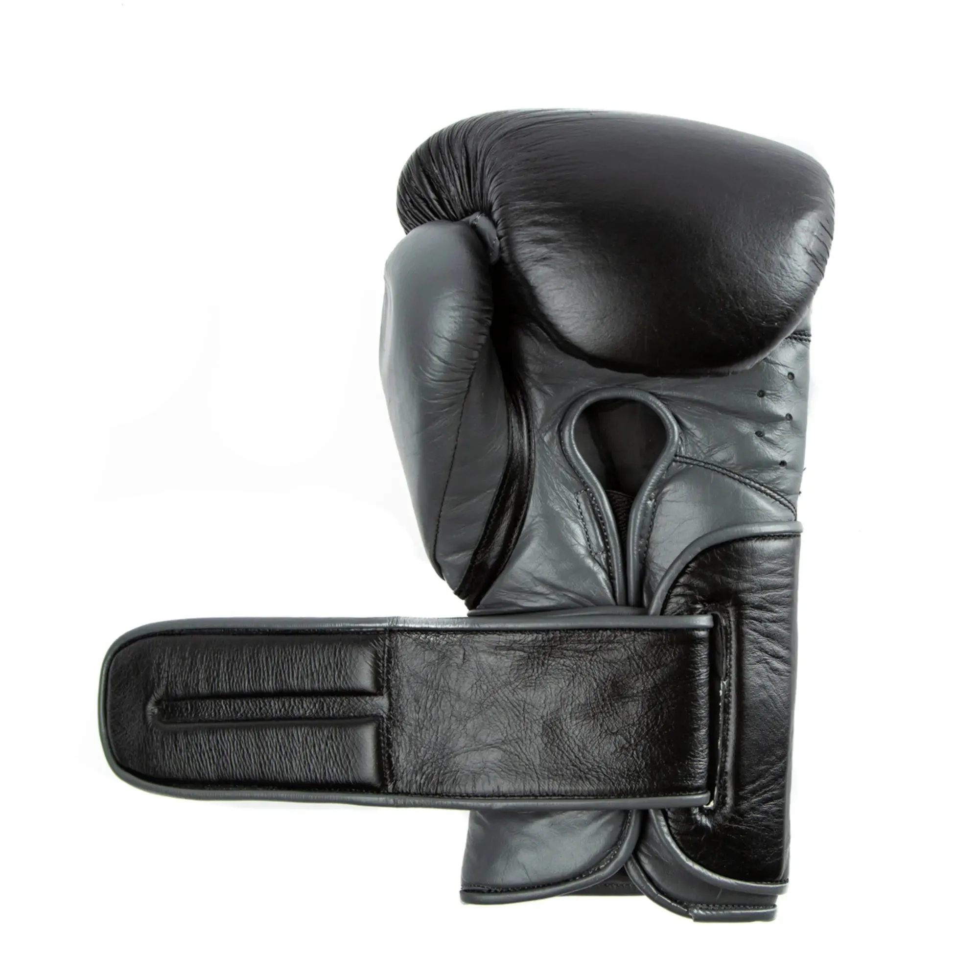 Powerlock 2 Pro Hook & Loop Boxing Gloves